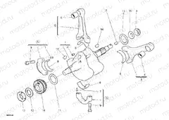 CRANKSHAFT » ENGINE CASE