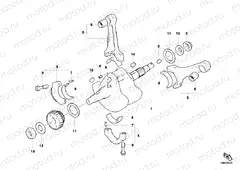 CRANKSHAFT » ENGINE CASE