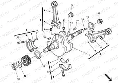 CRANKSHAFT » ENGINE CASE