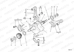 CRANKSHAFT » ENGINE CASE