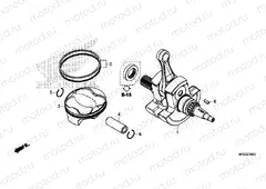 Crankshaft / PISTON