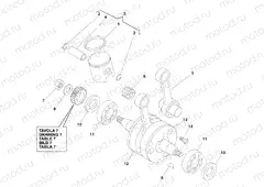 CRANKSHAFT - PISTON
