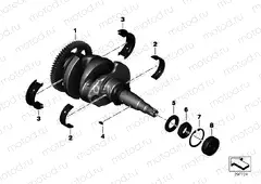 CRANKSHAFT WITH BEARING