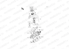 Crankshaft/Piston(s)