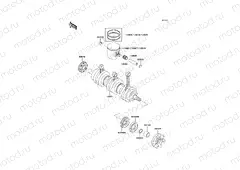 Crankshaft/Piston(s)