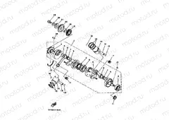 Crankshiyaft. Piston 2 (SPR model)