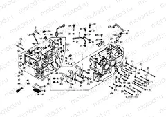 Cylinder block