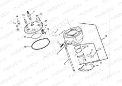 Cylinder - Cylinder head