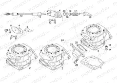 Cylinder - Exhaust valve