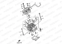 CYLINDER HEAD