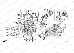 CYLINDER HEAD