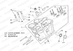 Cylinder head