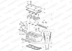 Cylinder Head Assembly