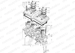 Cylinder Head Assembly