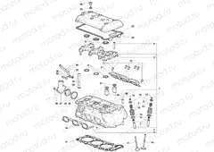 Cylinder Head Assembly
