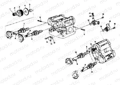 CYLINDER HEAD » ENGINE CASE