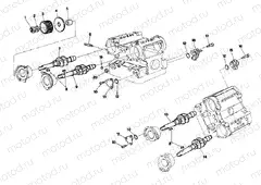 CYLINDER HEAD » ENGINE CASE