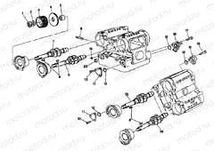 CYLINDER HEAD » ENGINE CASE