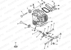CYLINDER HEAD » ENGINE CASE