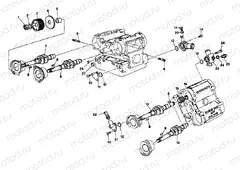 CYLINDER HEAD » ENGINE CASE