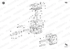 CYLINDER HEAD » ENGINE CASE