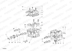 CYLINDER HEAD » ENGINE CASE