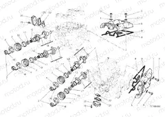 CYLINDER HEAD : TIMING SYSTEM » ENGINE CASE