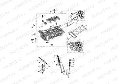 Cylinder Head & Valves