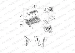 Cylinder Head & Valves