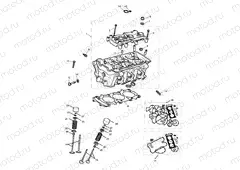 Cylinder Head & Valves