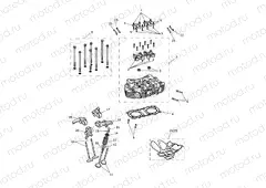 Cylinder Head & Valves