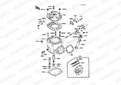 Cylinder Head/Cylinder