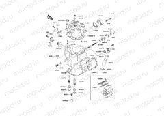 Cylinder Head/Cylinder