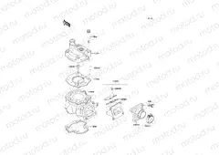 Cylinder Head/Cylinder