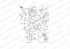 Cylinder Head/Cylinder