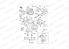 Cylinder Head/Cylinder