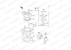 Cylinder Head/Cylinder