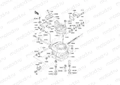 Cylinder Head/Cylinder