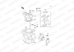 Cylinder Head/Cylinder