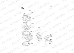 Cylinder Head/Cylinder