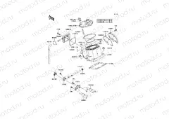 Cylinder Head/Cylinder