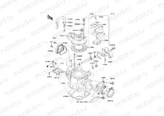 Cylinder Head/Cylinder