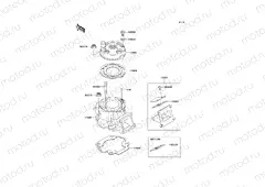 Cylinder Head/Cylinder