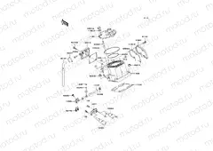 Cylinder Head/Cylinder