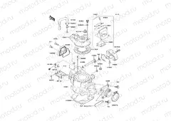 Cylinder Head/Cylinder