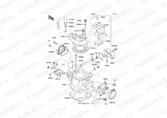 Cylinder Head/Cylinder