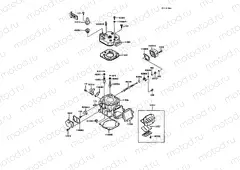 Cylinder Head/Cylinder