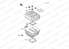 Cylinder Head/Cylinder