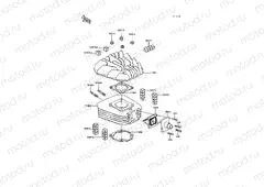 Cylinder Head/Cylinder