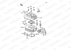 Cylinder Head/Cylinder